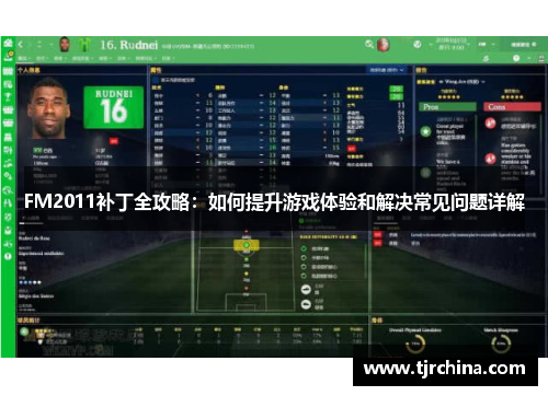 FM2011补丁全攻略：如何提升游戏体验和解决常见问题详解