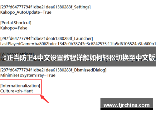 《正当防卫4中文设置教程详解如何轻松切换至中文版》