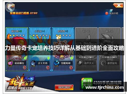 力量传奇卡宠培养技巧详解从基础到进阶全面攻略